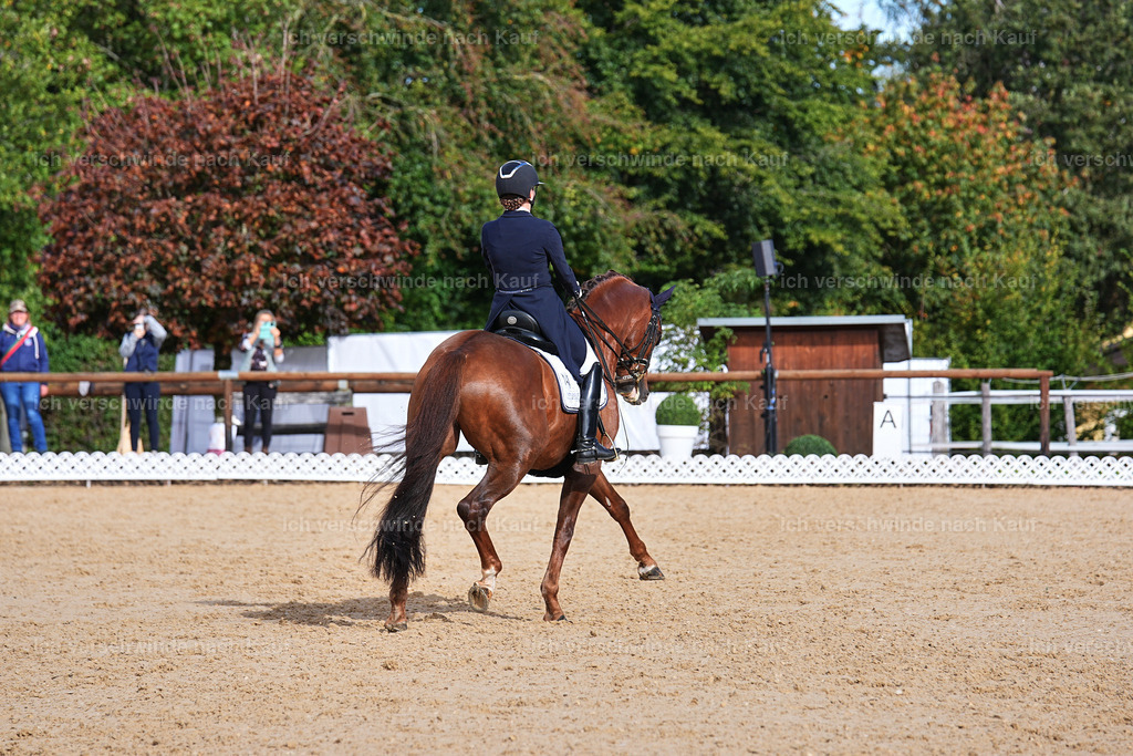 6-143-AMATUER-DRESSUR S_  -Marixx-3690 | working equitationturnier fotograf videograf stoibphotography marixx film working equitation deutschland reitsport turnierfotografie eventfotografie equestrian events