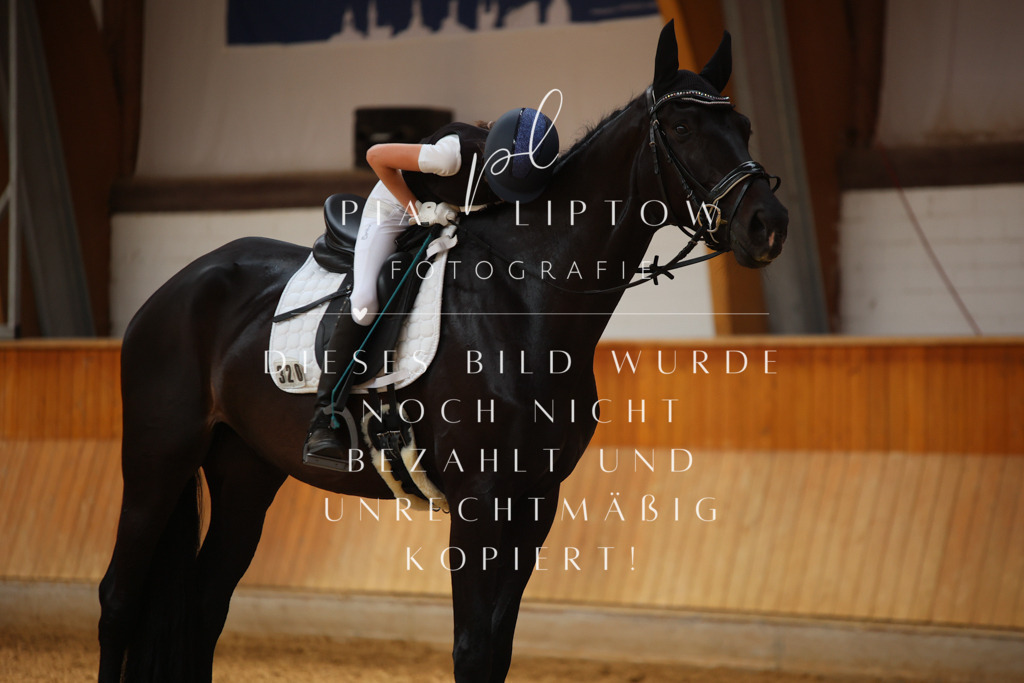 IMGM6357 | pl-fotografie