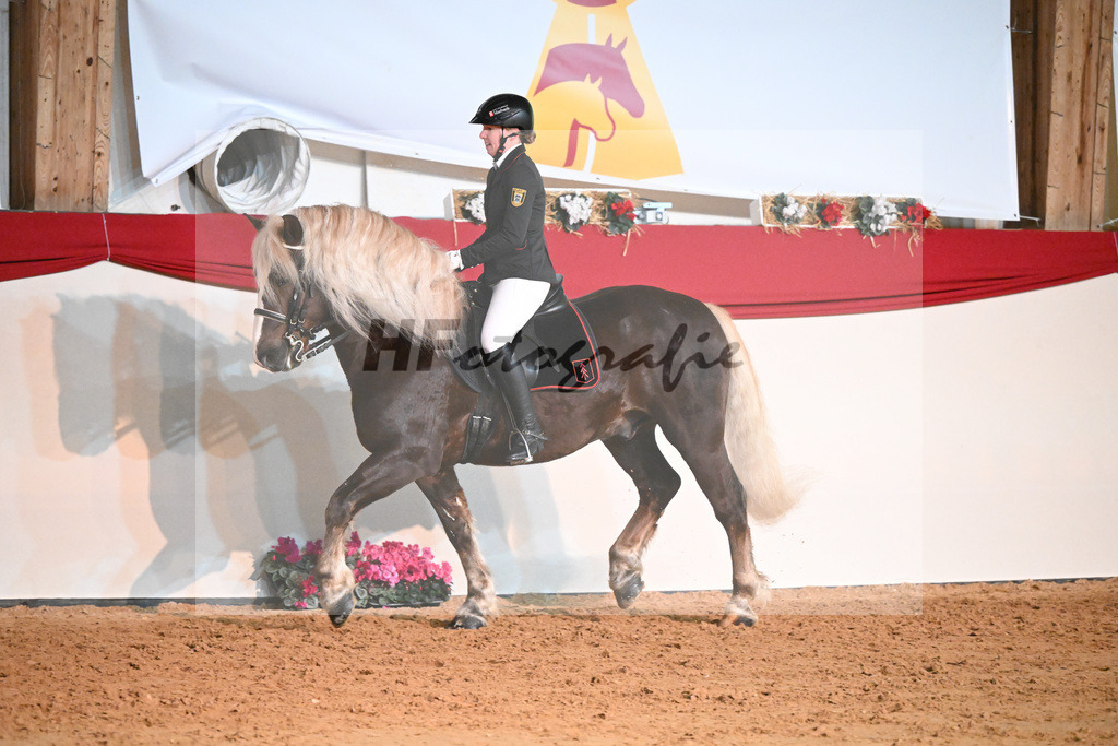 Kaltblutquadrille_1234556 | hf-fotografie - Realisiert mit Pictrs.com