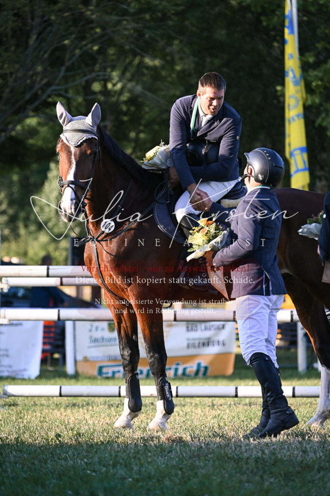 DSC_2030 | Pferde- und Turnierfotografie in Westsachsen. Pferdeportraits, Auftragszeichnungen und intuitive Kunst.
