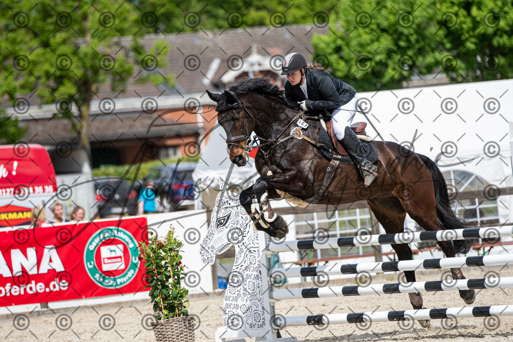 KPT_5357 | andre_photographic