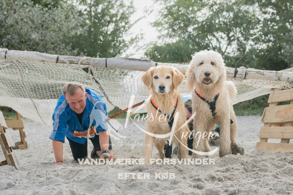 1312_ZZ95766 | kk-dogfotos