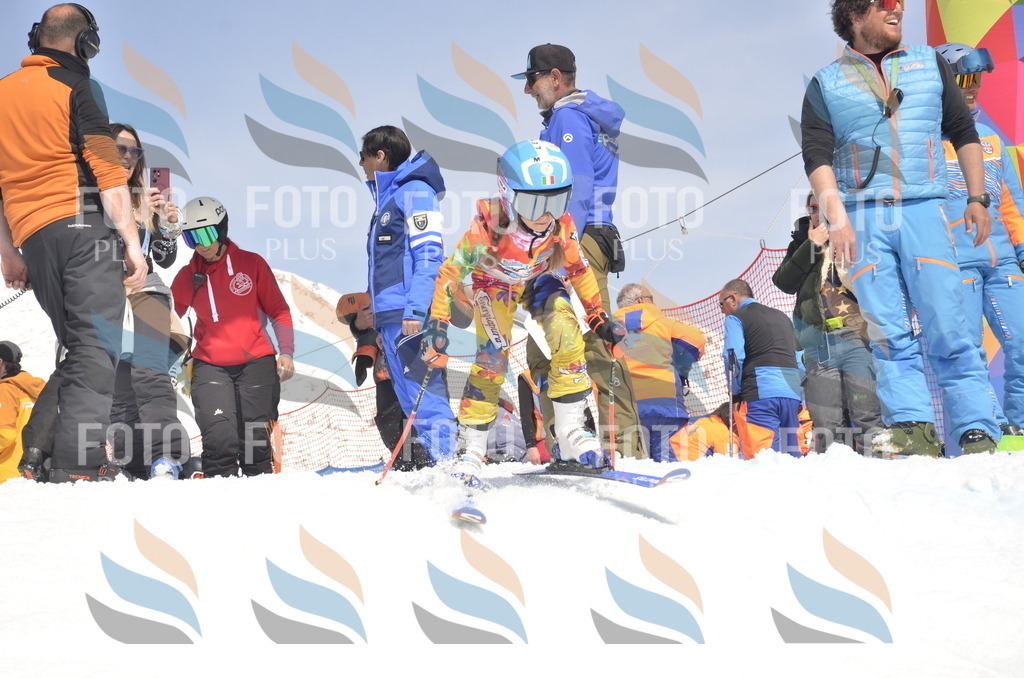 _ELE9252 | holidayphoto