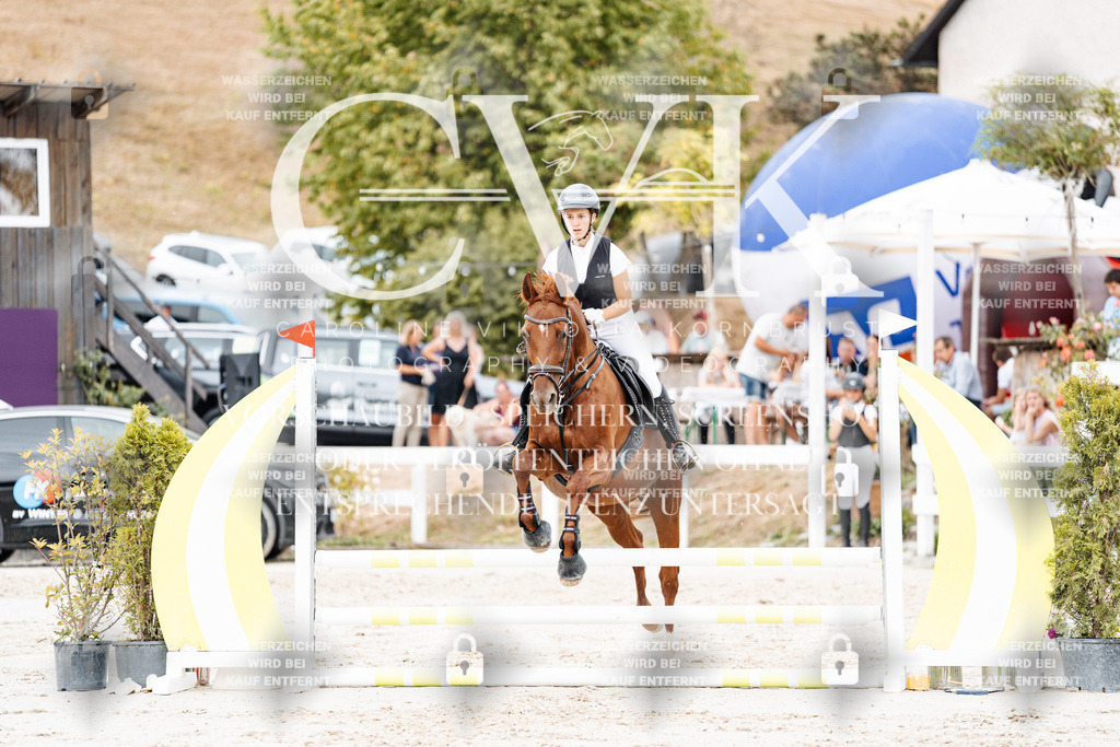 CK908166 | Turnierfotografie Pferdefotografie Trier Rheinland-Pfalz Pferdesport Reitsport Tierfotografie Sportfotografie Pferdevideo Pferdevideografie Equestrianvideography equestrianphotography  - Realisiert mit Pictrs.com