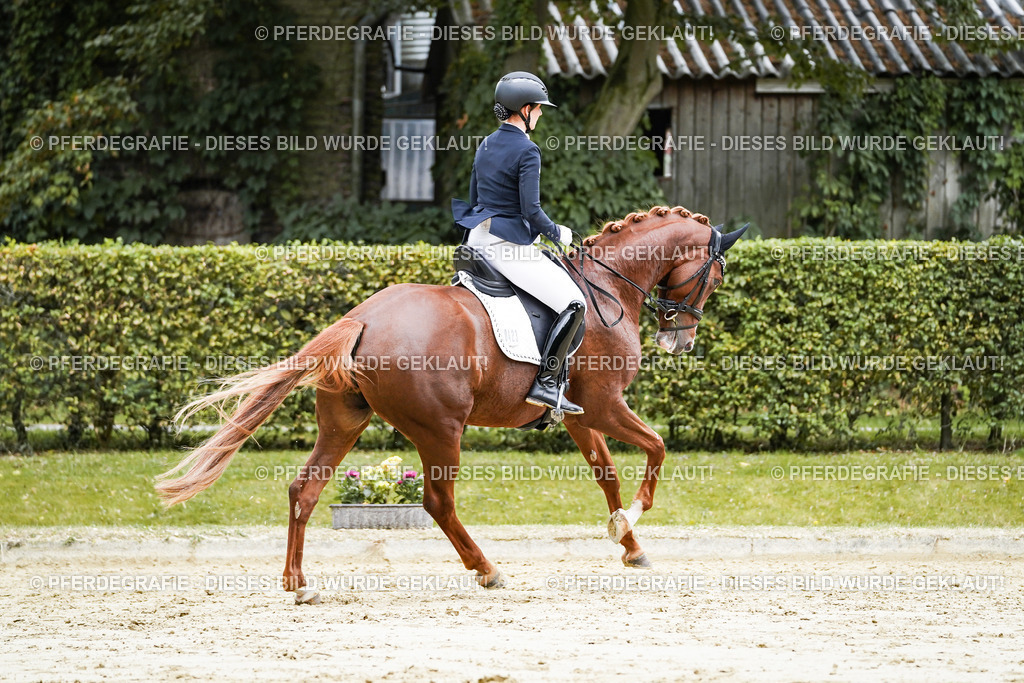 DSC06999 | Pferdegrafie