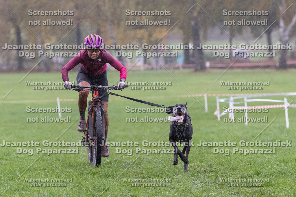 Dog Paparazzi - SD CaniX Championship 2025-910 | Dog Paparazzi Jeanette Grottendiek Fotografie & Videografie - Realisiert mit Pictrs.com