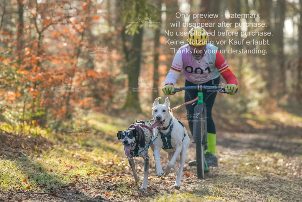 0_So_Scooter_2_lang-3 | stephaniefillaphotographie - Realisiert mit Pictrs.com