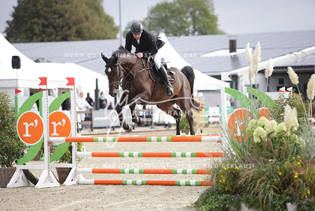 1J2A8983Michael Grimm_ Chiller U.P._ Kn1052_ Havekost | Foto- und Videografie für alles rund ums Pferd. Hochwertige Bilder und Videos vom Spring- und Dressurreiten, Voltigieren & mehr. Jetzt aktuelle Veranstaltungen und Preise im Shop ansehen. - Realisiert mit Pictrs.com