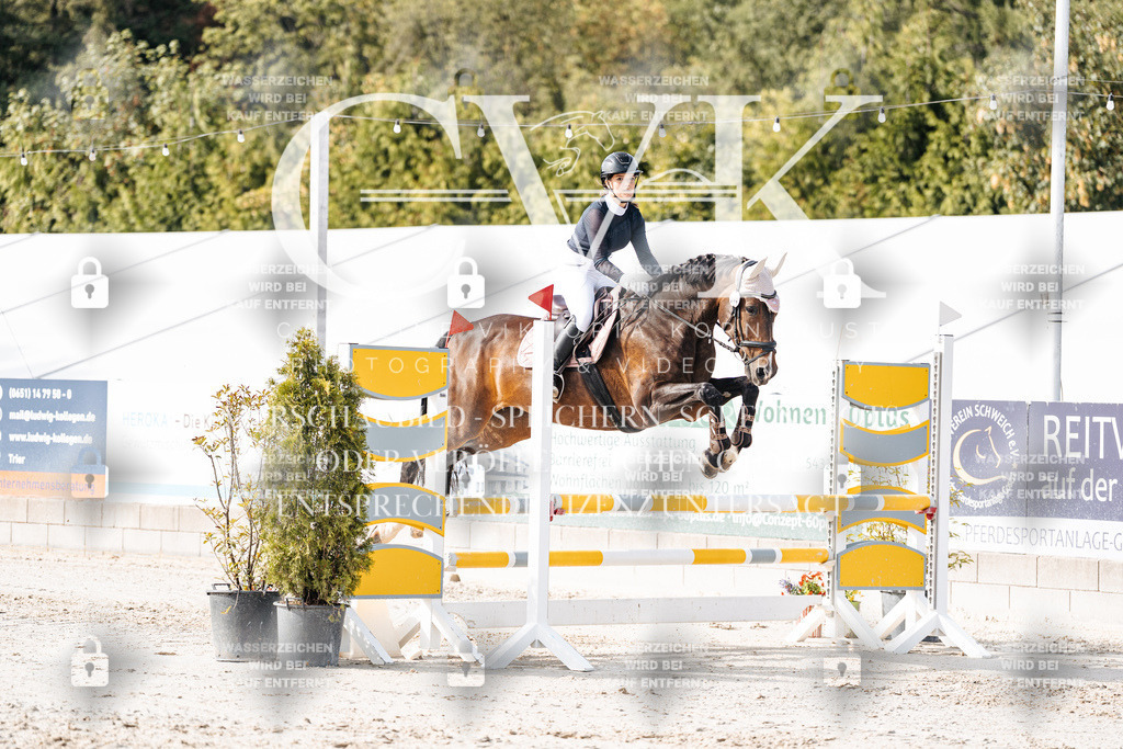 CK905600 | Turnierfotografie Pferdefotografie Trier Rheinland-Pfalz Pferdesport Reitsport Tierfotografie Sportfotografie Pferdevideo Pferdevideografie Equestrianvideography equestrianphotography  - Realisiert mit Pictrs.com