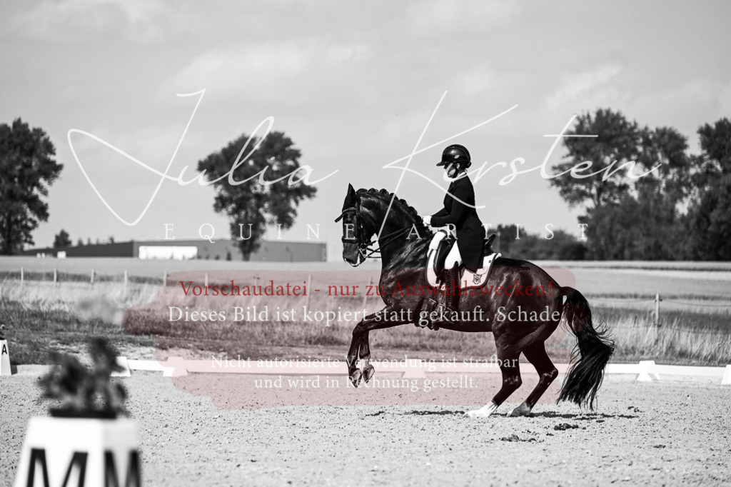 DSC_3387 | Pferde- und Turnierfotografie in Westsachsen. Pferdeportraits, Auftragszeichnungen und intuitive Kunst.
