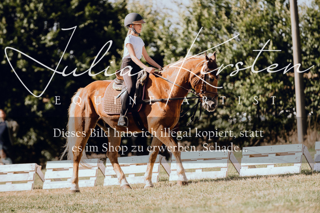 DSC_7297 | Pferde- und Turnierfotografie in Westsachsen. Pferdeportraits, Auftragszeichnungen und intuitive Kunst.