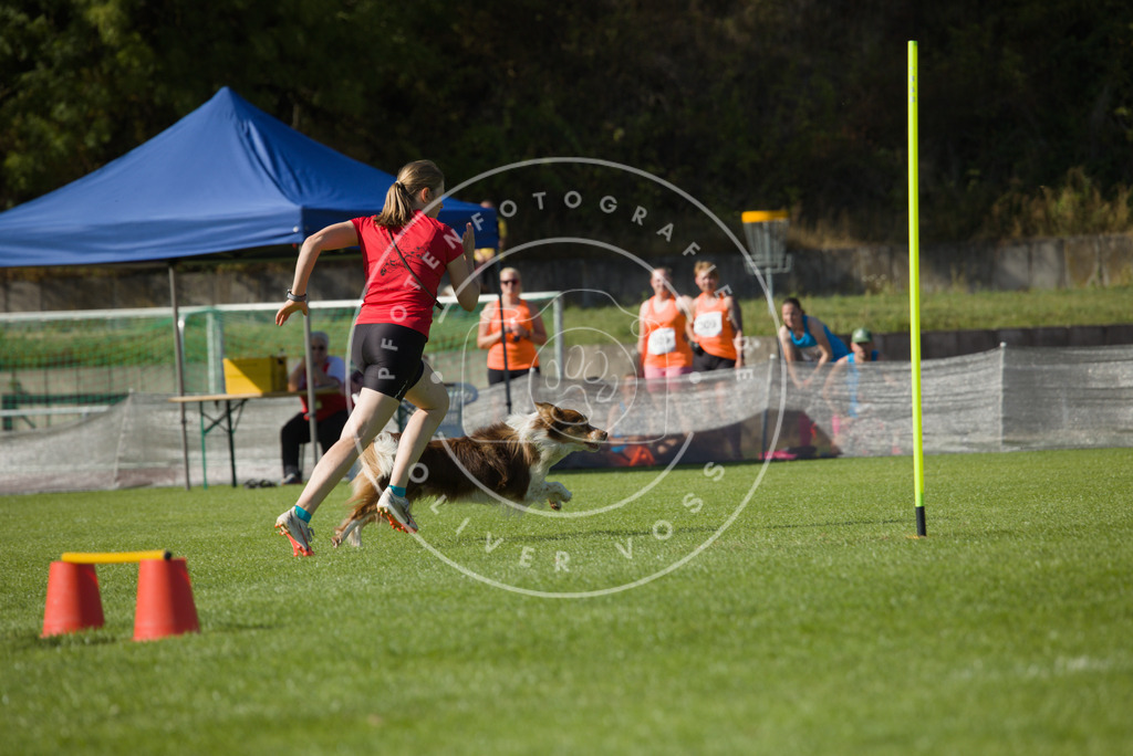 0L8A8744 | Hundefotografie, Tierfotograf, Pfotenfotografie, Fotoshooting Hund, Hunde Portrait, Hundesport, Hundeportraits, Heideshooting, Hunde, Sportfotograf, Hundefotograf, Turnierhundsport, THS,  - Realisiert mit Pictrs.com