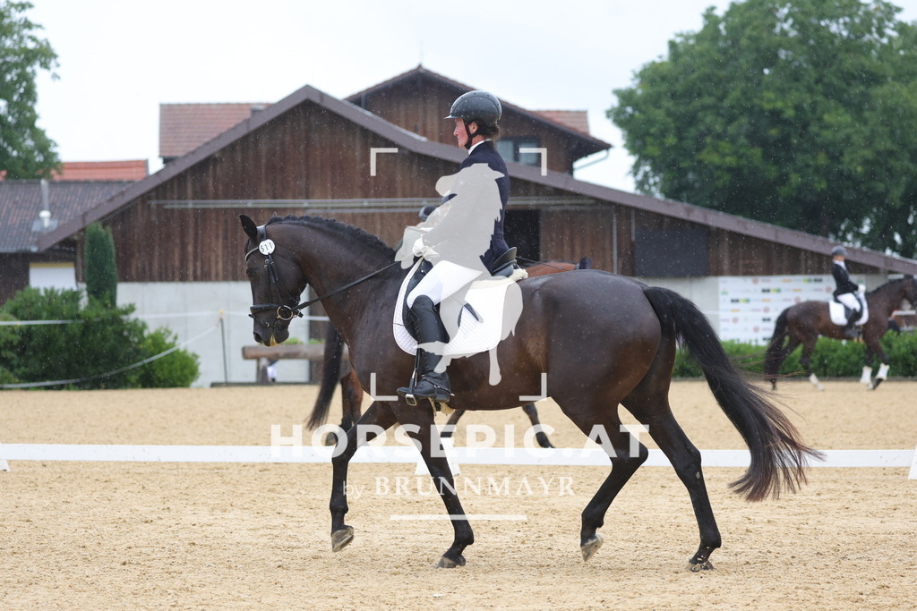 0P6A0214 | Willkommen bei Brunnmayr - Design & Fotografie – Ihrem Spezialisten für Reitturniere und Pferdeveranstaltungen in Oberösterreich, Salzburg und Bayern! Seit über 17 Jahren sind wir leidenschaftlich dabei.