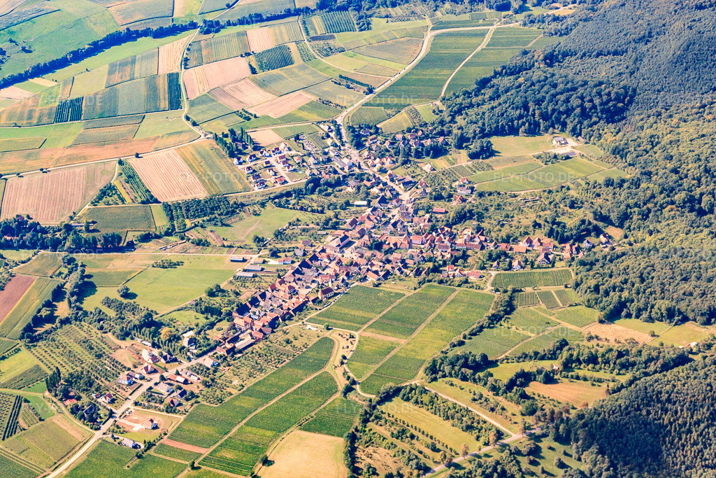 Luftbild: Dorfansicht aus Norden in Rott im Bundesland Bas-Rhin in Frankreich. – Foto: IMG_21009.jpg vom 06.09.2009 durch Werner Riehm/FLY-FOTO.de – Auflösung des Originals: 4752 x 3168 px