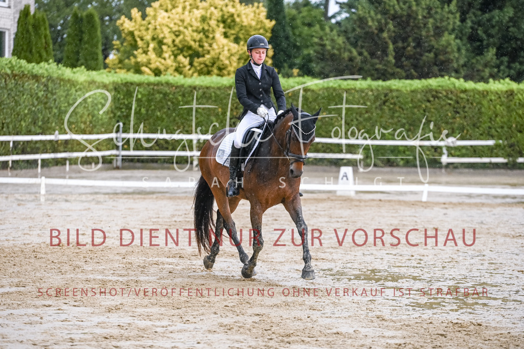 Schugtsche-Aluta25-55.Dressurreiterprf.L1Tr-263 | Schugtsche Fotografie - Realisiert mit Pictrs.com