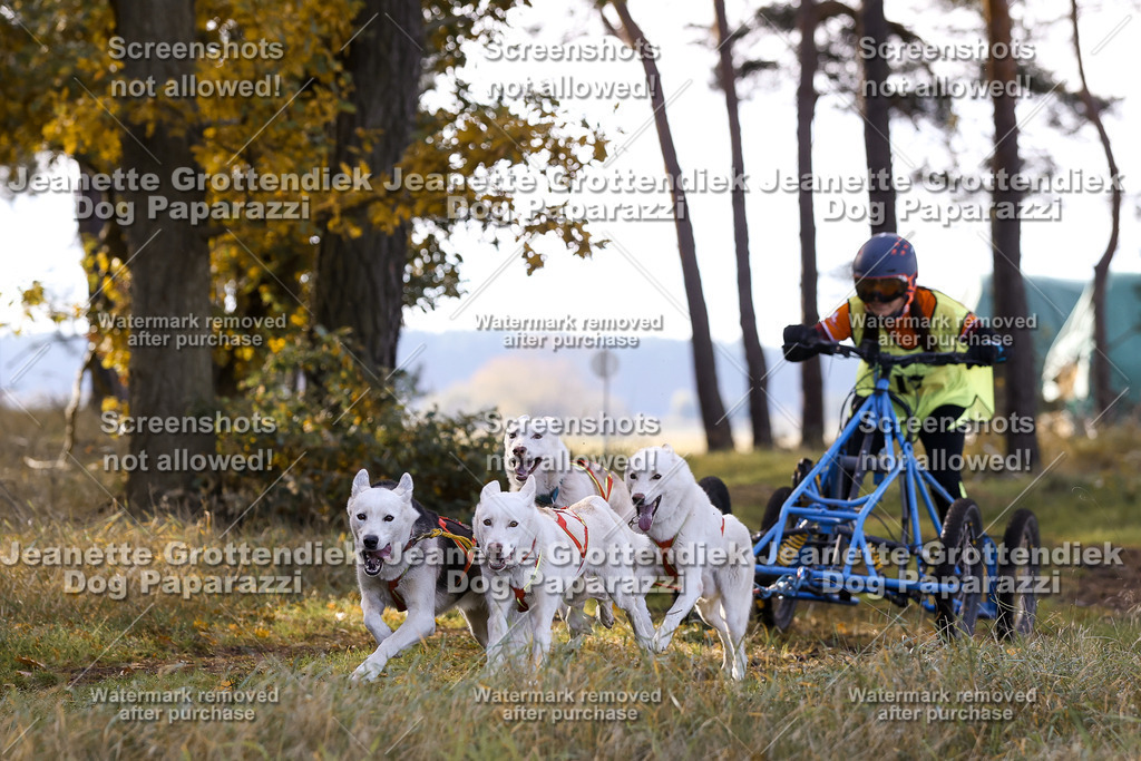 Dog Paparazzi - Elsholz 25 -89 | Dog Paparazzi Jeanette Grottendiek Fotografie & Videografie - Realisiert mit Pictrs.com