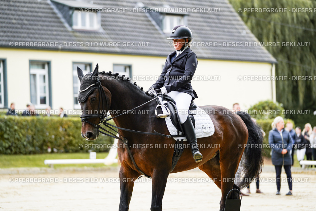 DSC04578 | Pferdegrafie