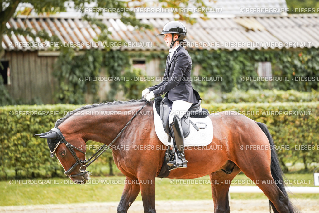 DSC03157 | Pferdegrafie