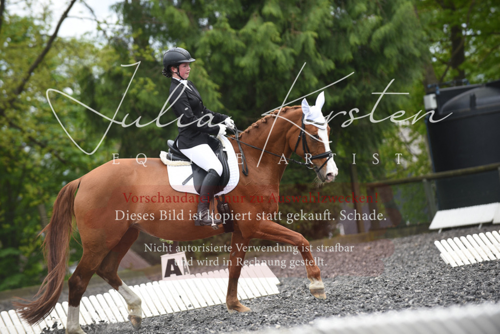 20230513_JK-Röhrsdorf-16-149 | Pferde- und Turnierfotografie in Westsachsen. Pferdeportraits, Auftragszeichnungen und intuitive Kunst.