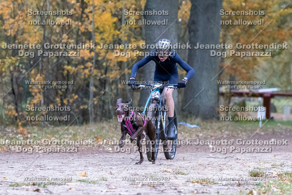 Dog Paparazzi - SD CaniX Championship 2025-292 | Dog Paparazzi Jeanette Grottendiek Fotografie & Videografie