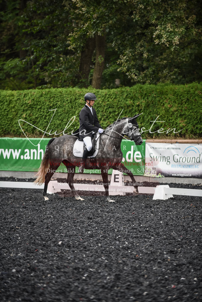 DSC_4627 | Pferde- und Turnierfotografie in Westsachsen. Pferdeportraits, Auftragszeichnungen und intuitive Kunst.