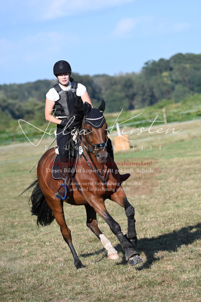 DSC_9009 | Pferde- und Turnierfotografie in Westsachsen. Pferdeportraits, Auftragszeichnungen und intuitive Kunst.