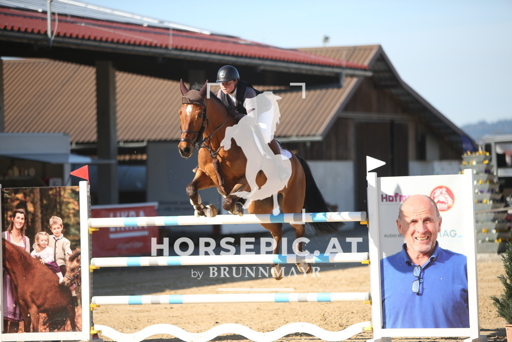 PP015742 | Willkommen bei Brunnmayr - Design & Fotografie – Ihrem Spezialisten für Reitturniere und Pferdeveranstaltungen in Oberösterreich, Salzburg und Bayern! Seit über 17 Jahren sind wir leidenschaftlich dabei.