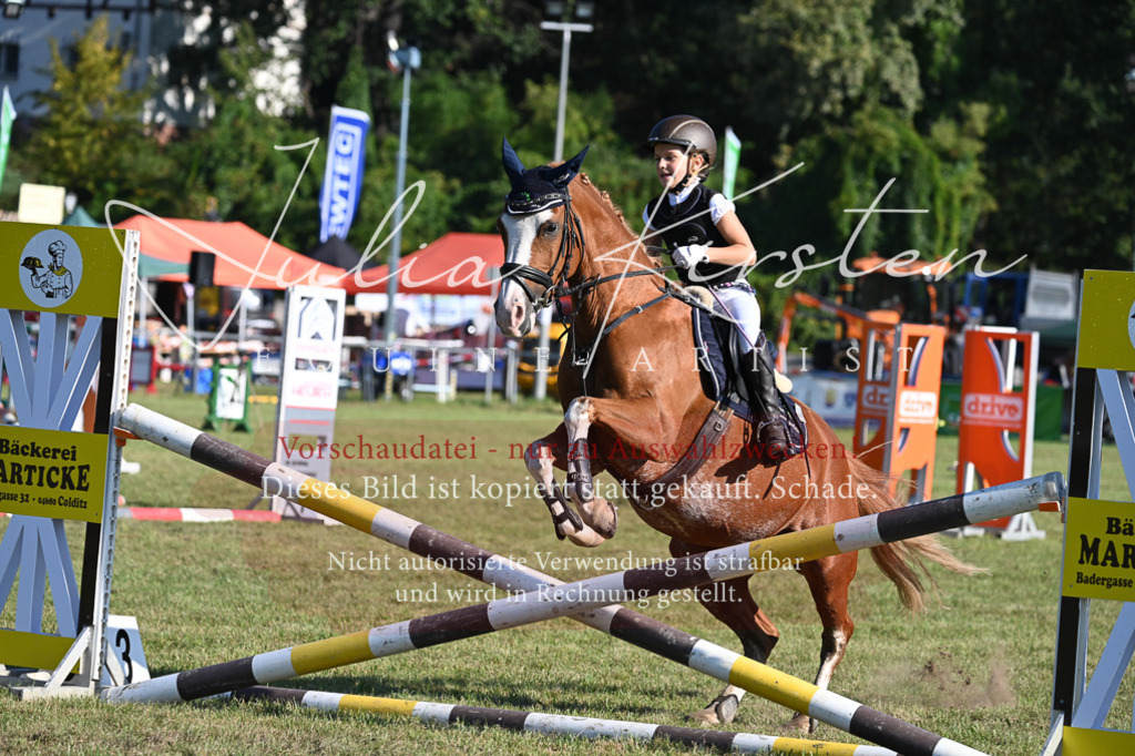 DSC_4957 | Pferde- und Turnierfotografie in Westsachsen. Pferdeportraits, Auftragszeichnungen und intuitive Kunst.