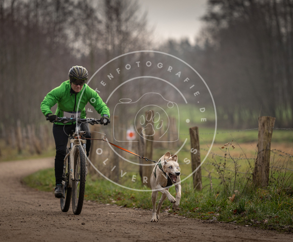 Pfotenfotografie_DV3A1656 | Hundefotografie, Tierfotograf, Pfotenfotografie, Fotoshooting Hund, Hunde Portrait, Hundesport, Hundeportraits, Heideshooting, Hunde, Sportfotograf, Hundefotograf, Turnierhundsport, THS,  - Realisiert mit Pictrs.com