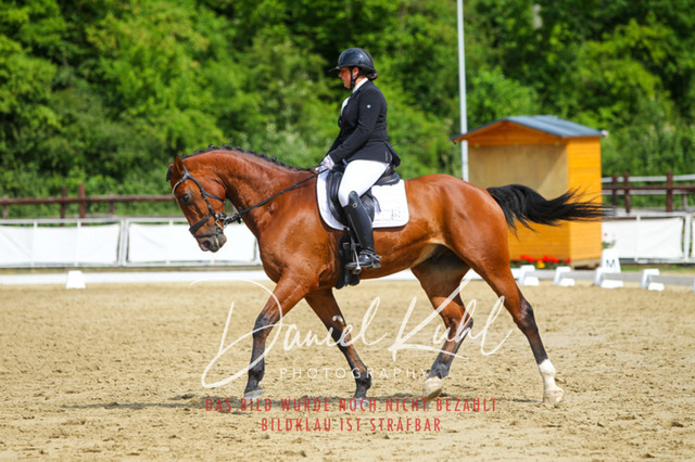 DKP45789 | Turniersportfotografie; Pferdefotografie; Dressurfotografie