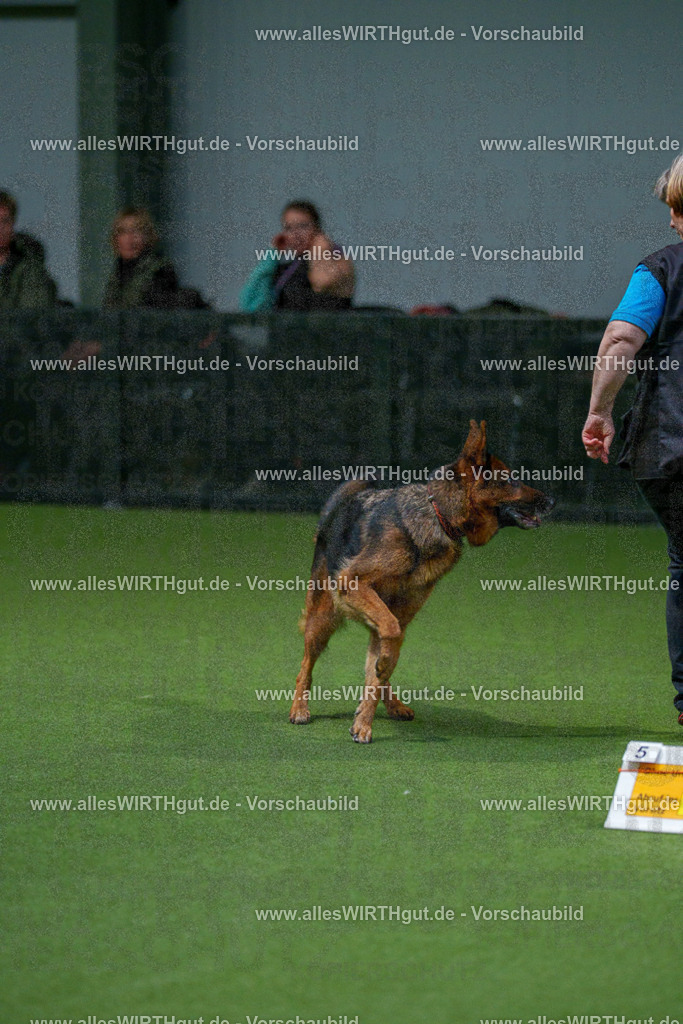 7R507947 | Professionelle Tierfotografie in Mönchengladbach von Daniel Wirth (allesWIRTHgut). Liebevolle & natürliche Bilder von Hunden & Katzen für unvergessliche Erinnerungen.