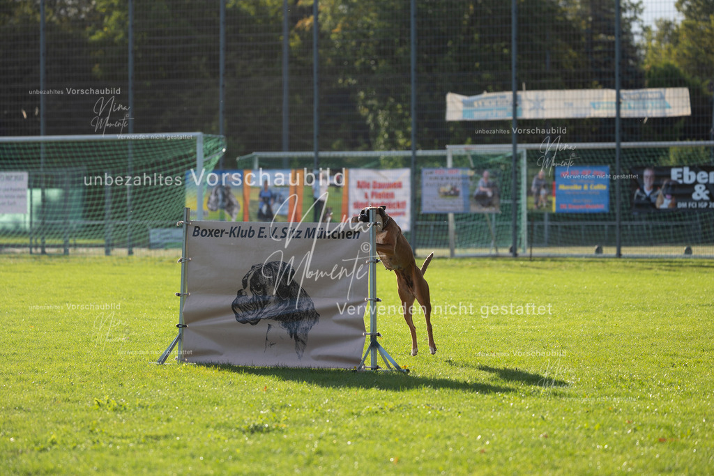 _16A4796 | Einzigartige Fotos von Hunden & Menschen –Actionfotos, Portraits, Vereinsaufnahmen & Paarshootings – authentisch, lebendig & mit Herz.