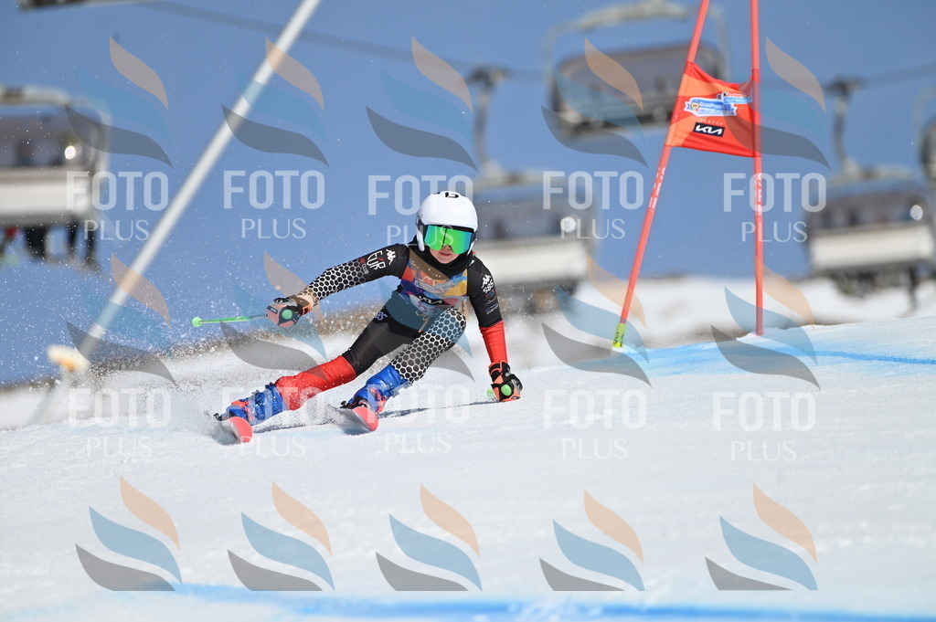 BGV_9077 | holidayphoto