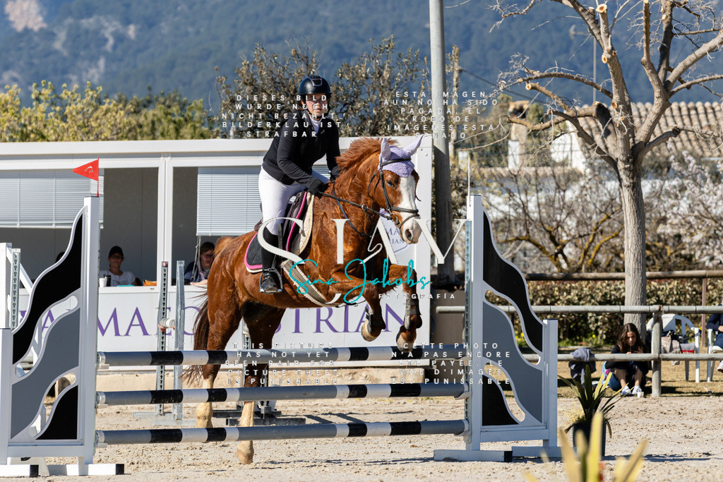 IMG_9344 | s-jay-photography - Realisiert mit Pictrs.com