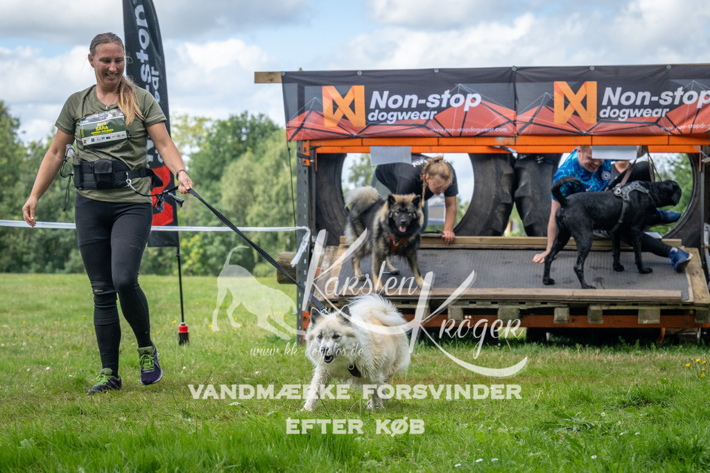 1547_ZZ94150 | kk-dogfotos