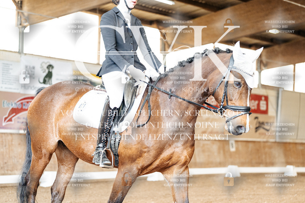 CK900647 | Turnierfotografie Pferdefotografie Trier Rheinland-Pfalz Pferdesport Reitsport Tierfotografie Sportfotografie Pferdevideo Pferdevideografie Equestrianvideography equestrianphotography  - Realized with Pictrs.com