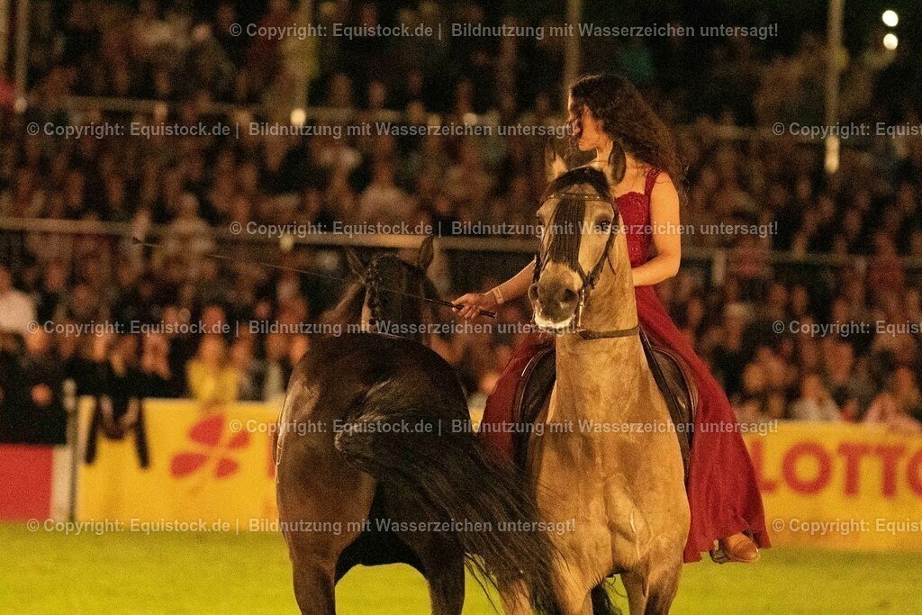 20230526_Pferdenacht_1418 | equistock