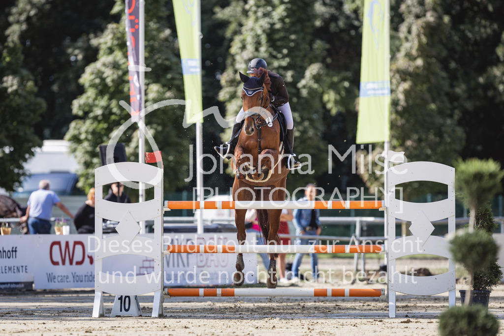 230826_Delbrueck_Youngster-M-518 | Deine schönsten Turniermomente als professionelle Fotos! Entdecke hochwertige Pferdesport-Fotografie im Online-Shop. Jetzt Fotos finden & bestellen!
