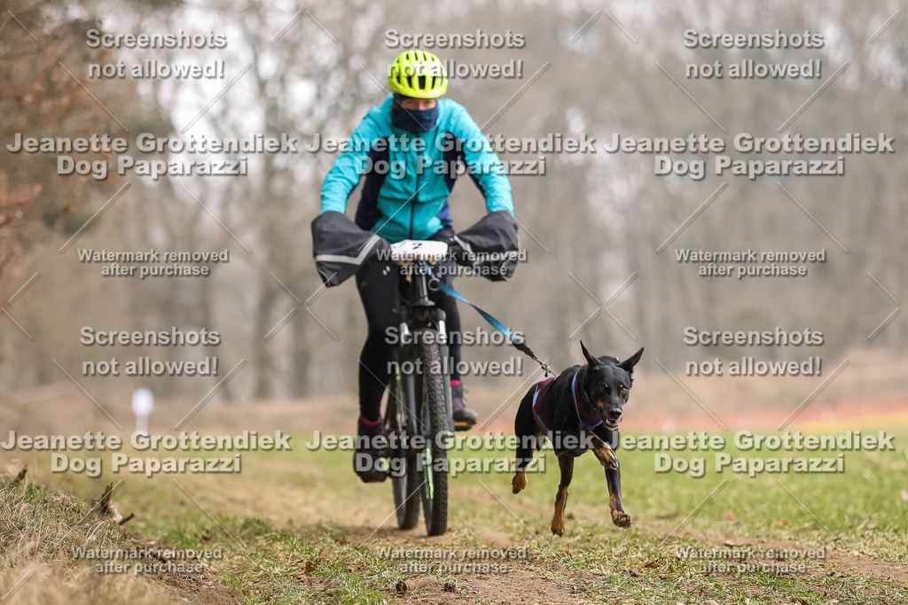 Dog Paparazzi - Plate 2026-66 | Dog Paparazzi Jeanette Grottendiek Fotografie & Videografie - Realisiert mit Pictrs.com