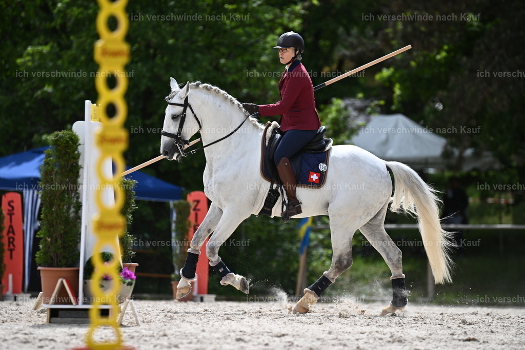 PI26_ST_Sara_Landvogt226_3742.JPG | working equitationturnier fotograf videograf stoibphotography marixx film working equitation deutschland reitsport turnierfotografie eventfotografie equestrian events