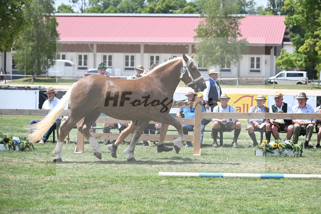 Kat-Nr. 37 Ida_Schmalzl_20230580 | hf-fotografie - Realisiert mit Pictrs.com