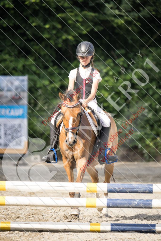 IMG_5964 | Sport-, Event- und Tierfotos in Profiqualität. Einfach auswählen, bestellen und herunterladen. Dein Moment – perfekt festgehalten.