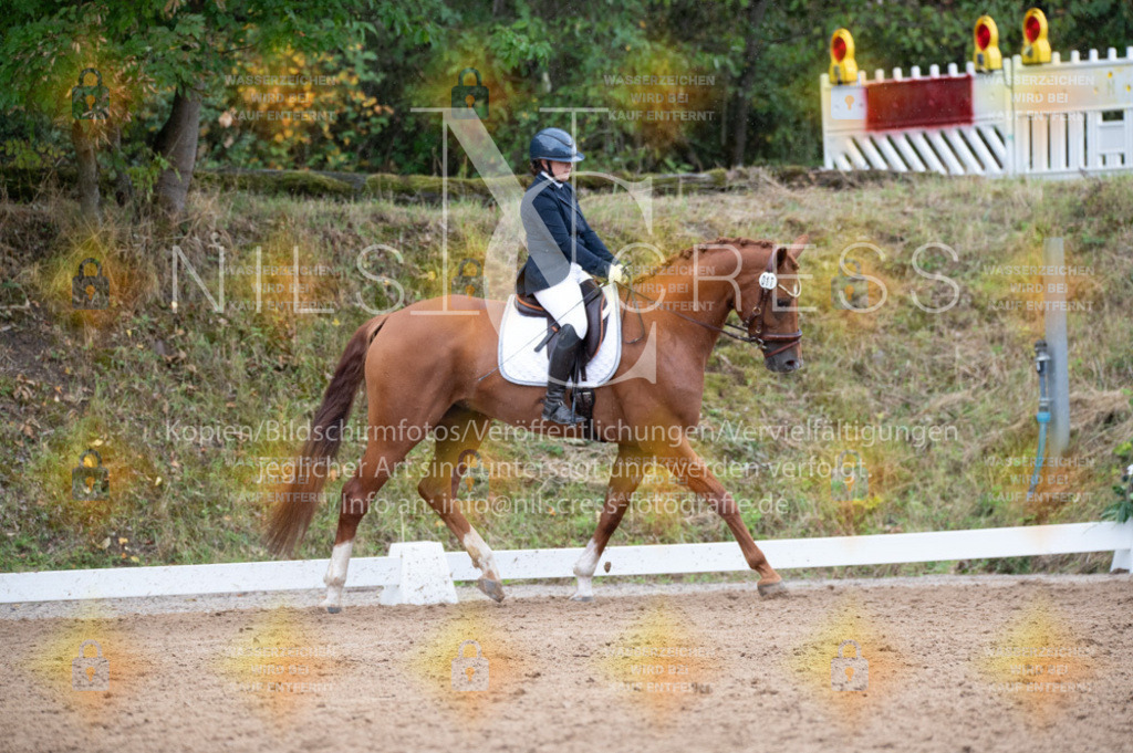 DSC_3706 | Nils Cress - Fotografie - Realisiert mit Pictrs.com