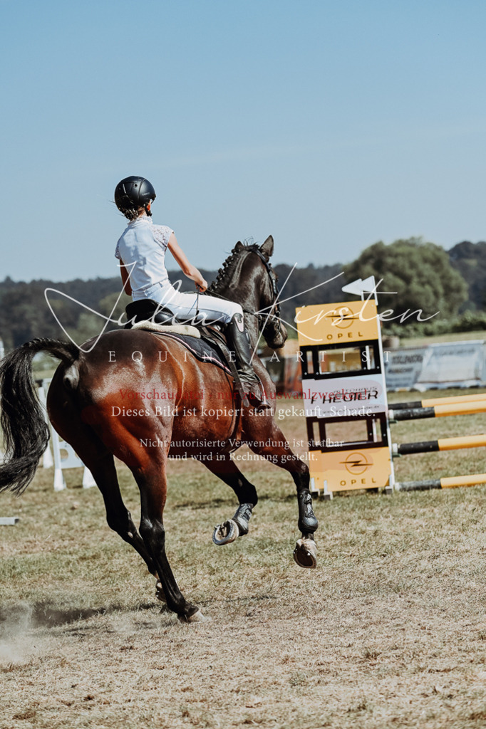 DSC_9836 | Pferde- und Turnierfotografie in Westsachsen. Pferdeportraits, Auftragszeichnungen und intuitive Kunst.