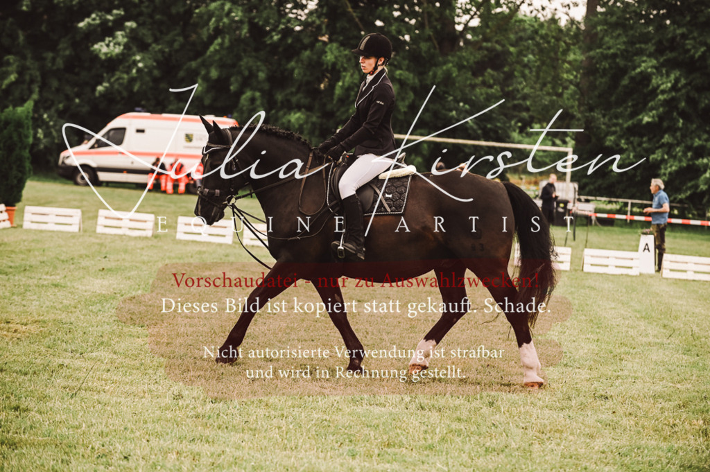DSC_4980 | Pferde- und Turnierfotografie in Westsachsen. Pferdeportraits, Auftragszeichnungen und intuitive Kunst.