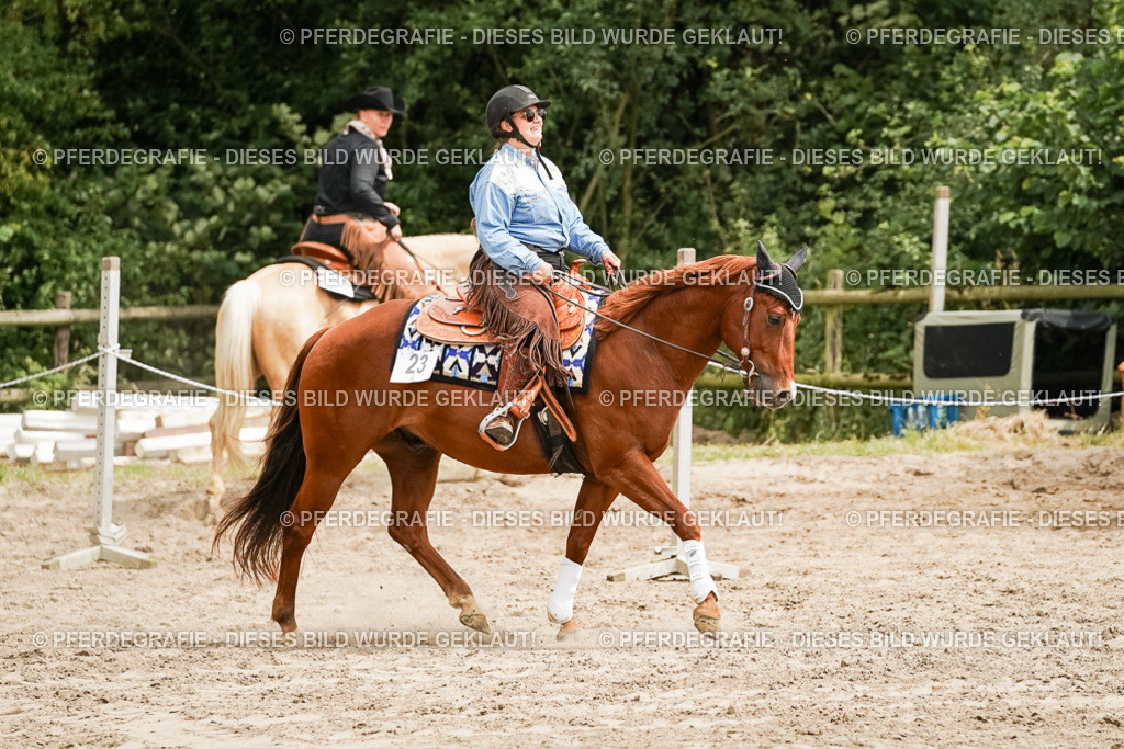 DSC00176 | Pferdegrafie