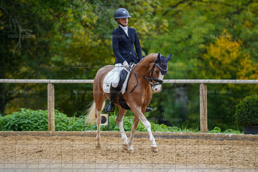 20221008-FAH01146 | Diessen am Ammersee, 2022, Dressur- und Springturnier, Reitsportbilder, Turnierfotografen Bayern, Pferdefotografen, Fotoagentur Herrmann, Turnierbilder