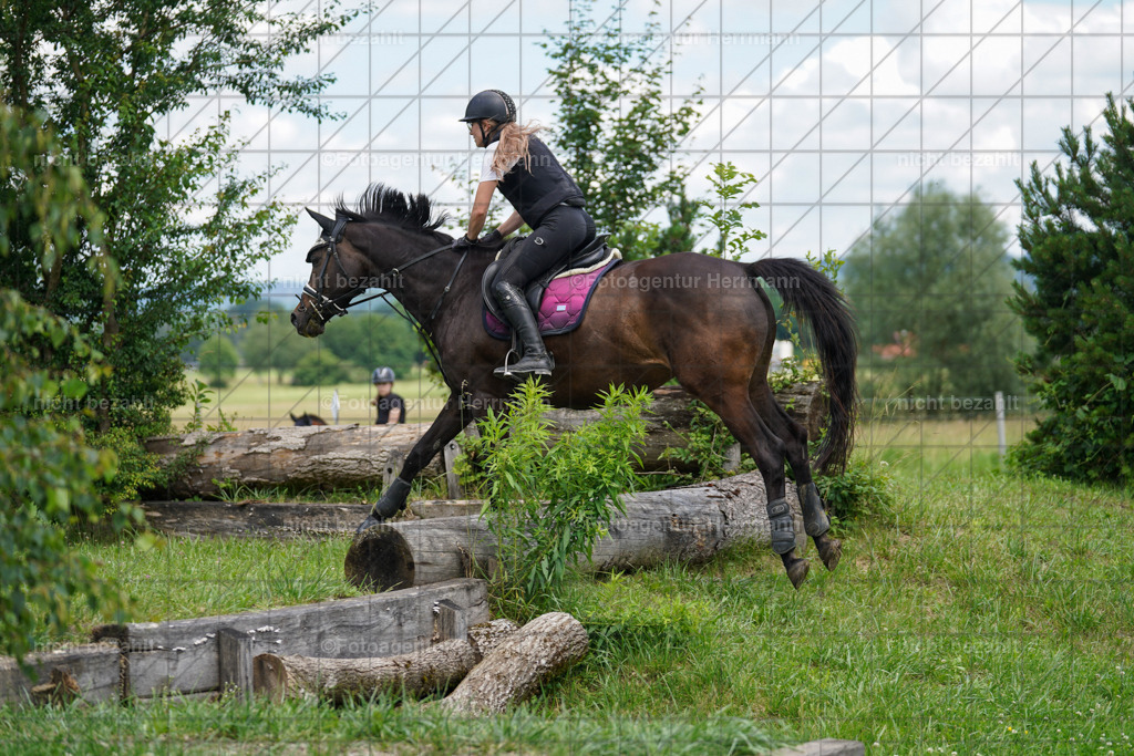 20240622-FAH07431 | Turnierfotografen Bayern, Reitsportbilder aus dem Geländekurs mit Felix Etzel auf dem Gut Waitzacker 2024