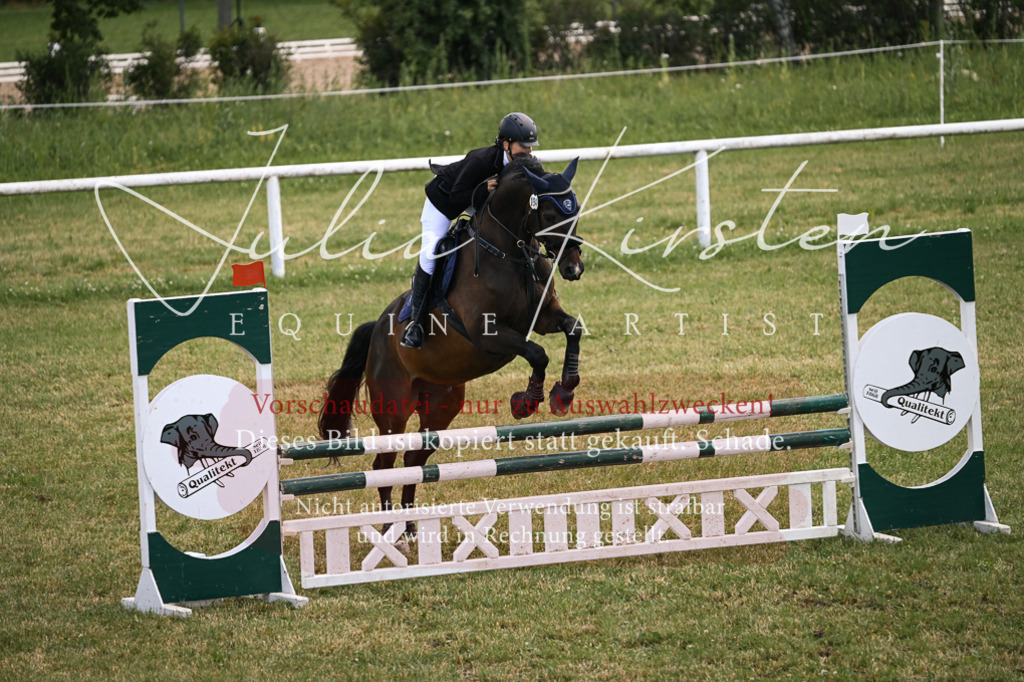 DSC_9901 | Pferde- und Turnierfotografie in Westsachsen. Pferdeportraits, Auftragszeichnungen und intuitive Kunst.