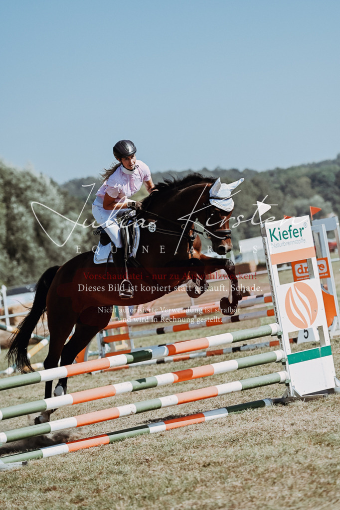 DSC_9737 | Pferde- und Turnierfotografie in Westsachsen. Pferdeportraits, Auftragszeichnungen und intuitive Kunst.